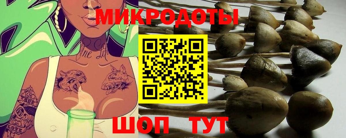 Галлюциногенные грибы Psilocybe  Вход с VPN  Десногорск 